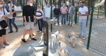 area canina temple