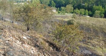 incendio las quintas