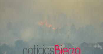 fuego incendio quereño-1