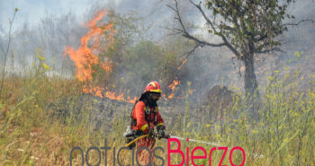 fuego incendio quereño-54