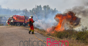 fuego incendio quereño-67