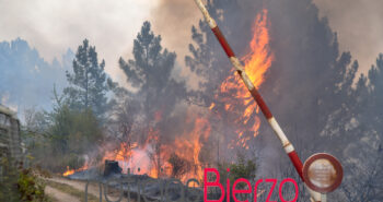fuego incendio quereño-84