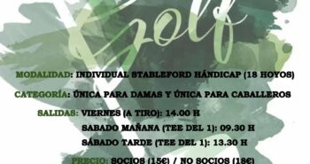 CartelXXIX_JuntaCastillaYLeón