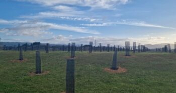 Bosque Olímpico 2
