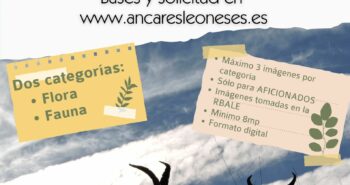VICF Cartel CF2023 Flora y fauna (1)