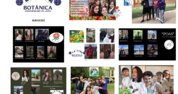 Equipos Liga Botánica