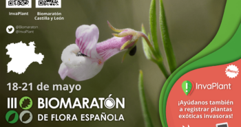 III Biomaratón de Flora Española