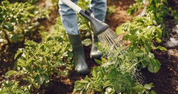 Woman in a hat holding funnel and works in a garden