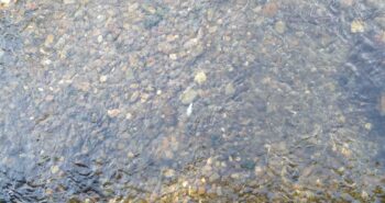 IMG_20230712_190556