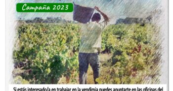 103243-bolsa_vendimia_2023