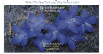 Portada Plantas Bierzo web