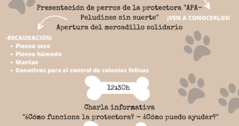 encuentro-canino
