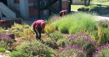 230905_formacion_CIUDENVivero_1