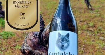 cantalobos godello 2021