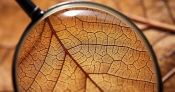 231118_TM_Ciencia para el otoño