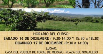Curso práctico Poda Cerezo