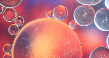 240120_TM_Ciencia-para-el-invierno