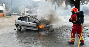 incendio toral