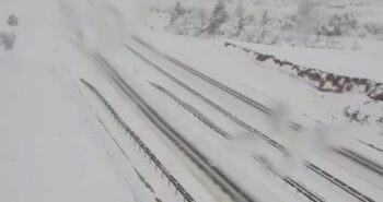 Foto del Manzanal