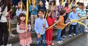 procesion palmas 2024-11