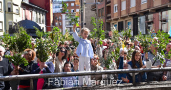 procesion palmas 2024-14