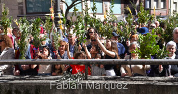 procesion palmas 2024-15