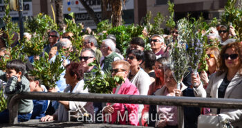 procesion palmas 2024-16