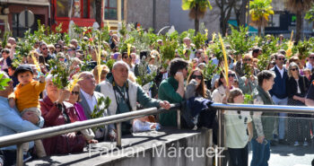 procesion palmas 2024-18