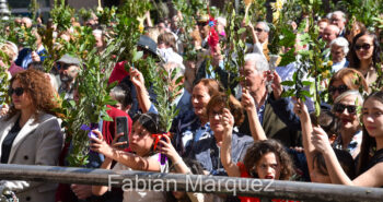 procesion palmas 2024-19