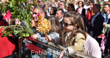 procesion palmas 2024-20