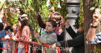 procesion palmas 2024-21