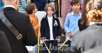 procesion palmas 2024-22