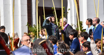 procesion palmas 2024-23