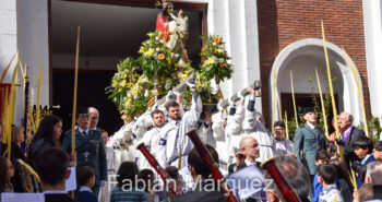 procesion palmas 2024-26
