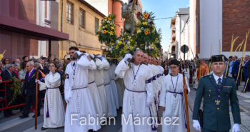 procesion palmas 2024-29