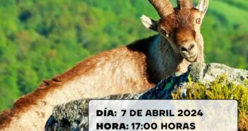 CARTEL SUBASTA DE CAZA ANCARES LEONESES