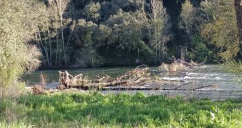 Puente colgante Valiña (4)