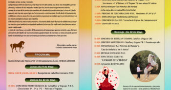 2diptico caballo 2024 int copia