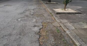 IMG-20240510-WA0004