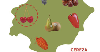 cartel-CEREZA-2024-WEB