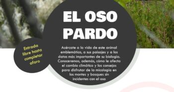 cartel-oso-pardo-cantharellus