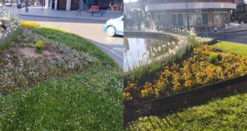 Antes y despues