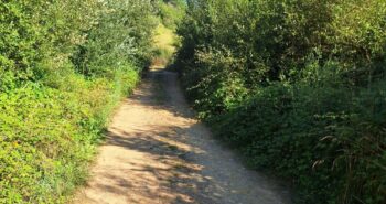 Caminos rurales Camponaraya
