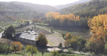 Granja Santullano