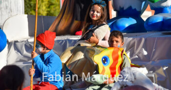 carrozas encina 24-15
