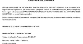 enmienda vox