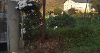 Arantigua 1