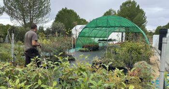 CIUDEN Vivero_LTC