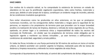 bando alcalde
