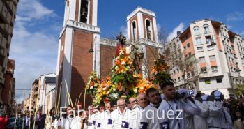 procesion-palmas-borriquita-25-274357575723024325975.jpg